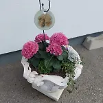 Biobauernhof Habersatter 3*
