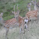 Biobauernhof Habersatter לינה וארוחת בוקר 3*