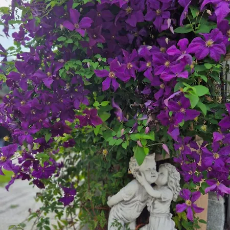 Bed & Breakfast Biobauernhof Habersatter