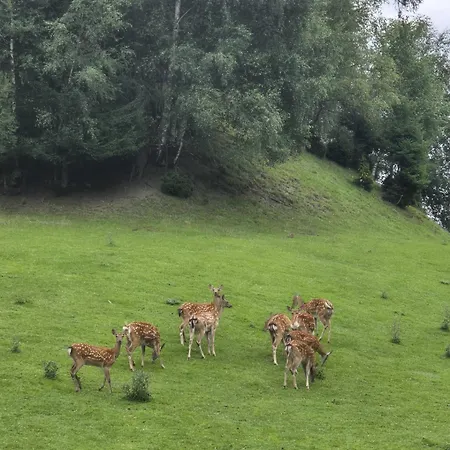 Biobauernhof Habersatter