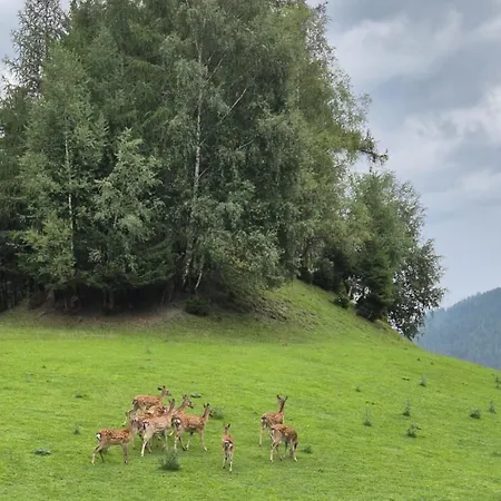 Biobauernhof Habersatter 3*