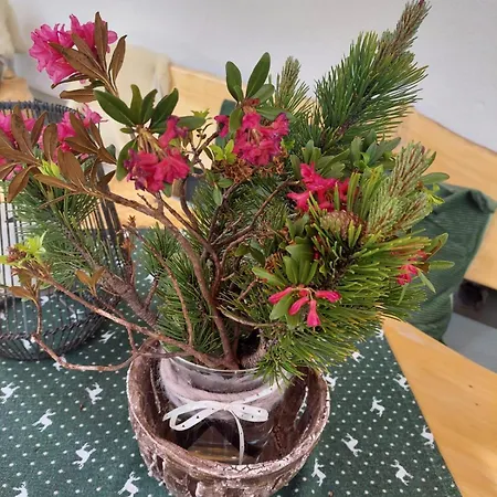 Biobauernhof Habersatter