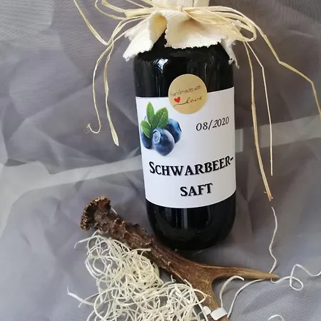 Biobauernhof Habersatter רדשטאדט