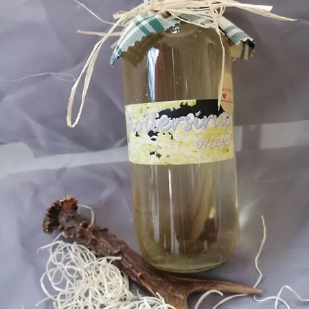 Biobauernhof Habersatter 3* Radstadt