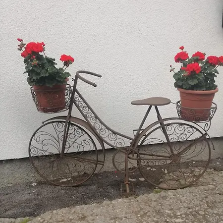 Biobauernhof Habersatter Radstadt