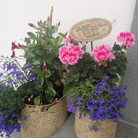 Bed & Breakfast Biobauernhof Habersatter *