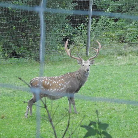 Biobauernhof Habersatter Bed & Breakfast