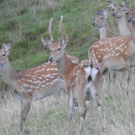 Biobauernhof Habersatter Bed & Breakfast 3*