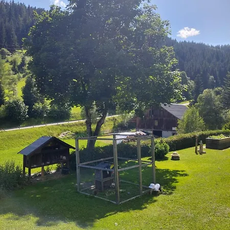 Biobauernhof Habersatter Bed & Breakfast Radstadt