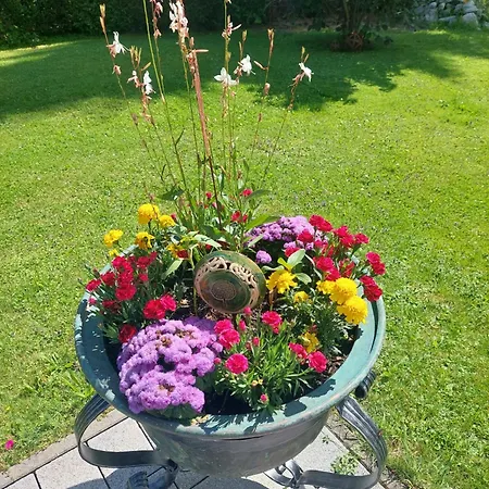 Biobauernhof Habersatter Bed & Breakfast 3*