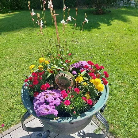 Biobauernhof Habersatter Bed & Breakfast *