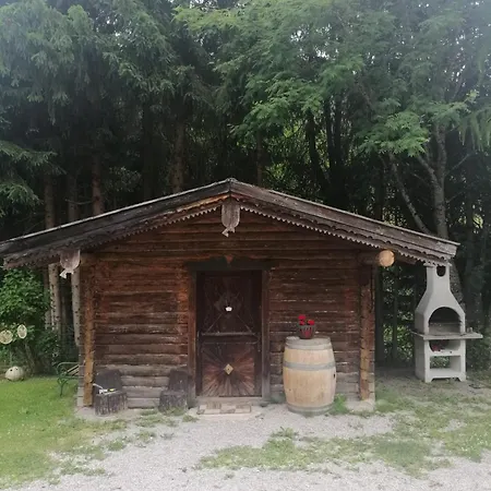 Biobauernhof Habersatter 3* Radstadt