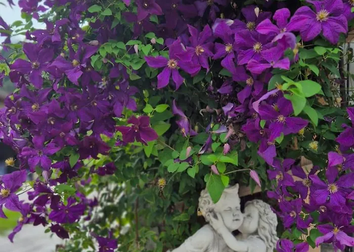 Bed & Breakfast Biobauernhof Habersatter