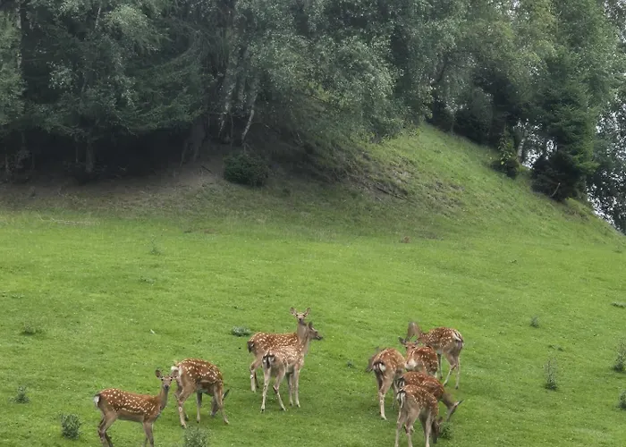 Biobauernhof Habersatter