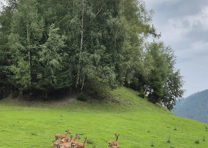 Biobauernhof Habersatter 3*