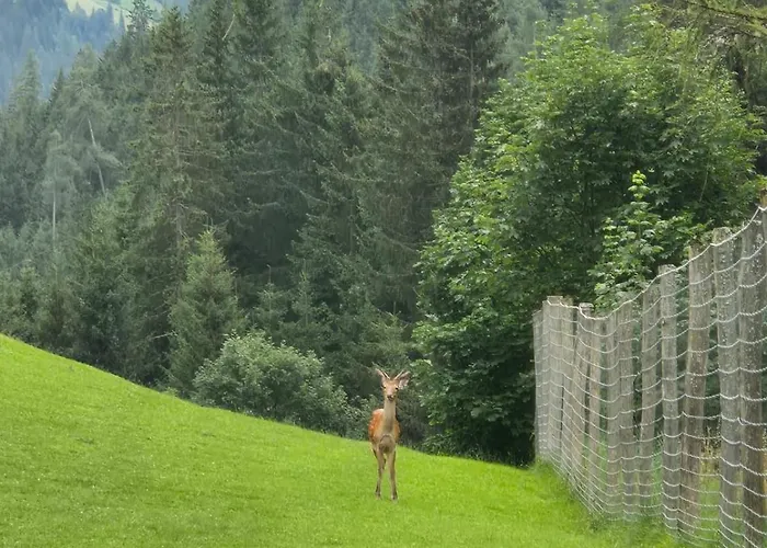 Bed & Breakfast Biobauernhof Habersatter 3*