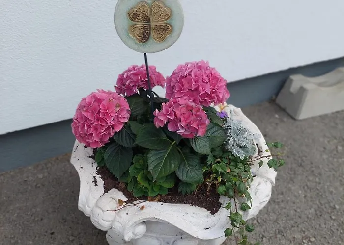 Biobauernhof Habersatter 3*