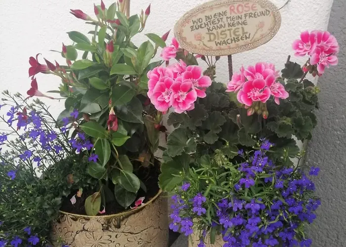 Bed & Breakfast Biobauernhof Habersatter 3*