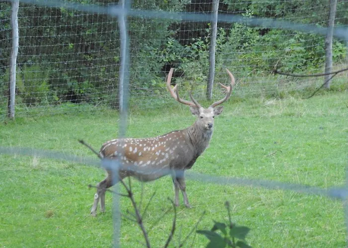 Biobauernhof Habersatter Bed & Breakfast