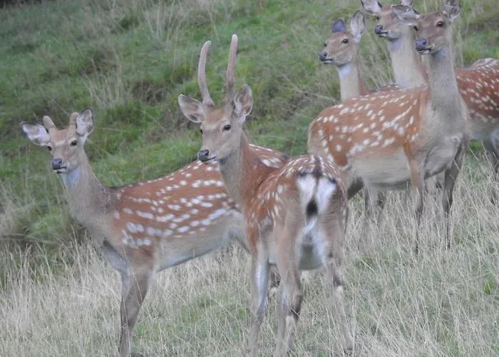 Biobauernhof Habersatter Bed & Breakfast 3*