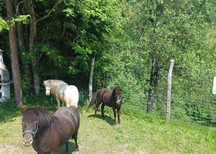 Bed & Breakfast Biobauernhof Habersatter 3*