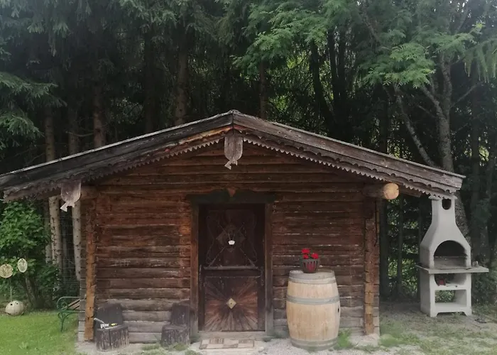 Biobauernhof Habersatter 3* Radstadt